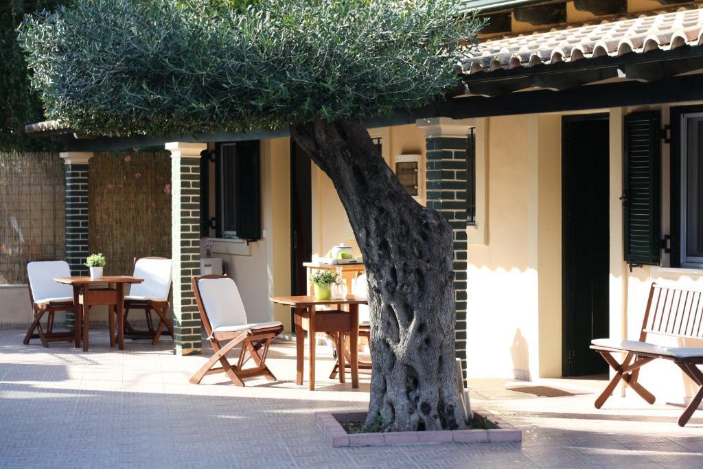 Akis Apartments Paleokastritsa Dış mekan fotoğraf